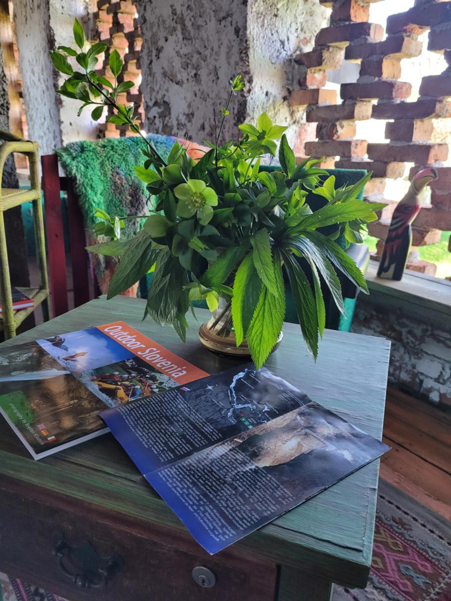 Nomads Glamp Hostel Блед Екстериор снимка